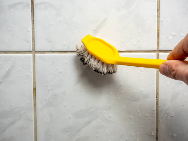 Best Mold Remediation for Schools in Plymouth, OH