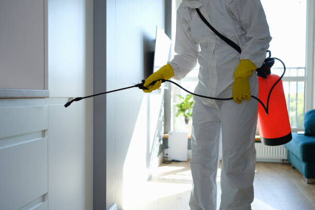 Trusted Plymouth, OH Mold Remediation Experts