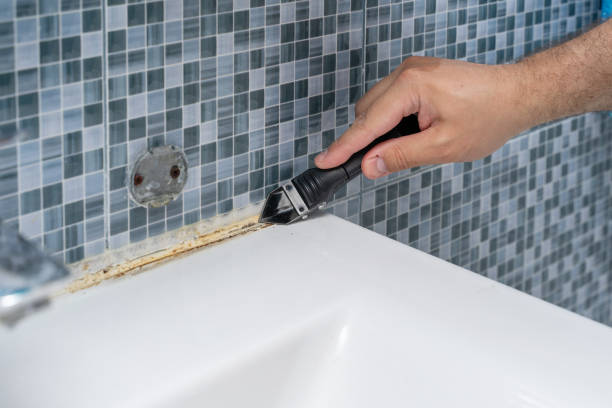 Best Insurance-Related Mold Remediation in Plymouth, OH