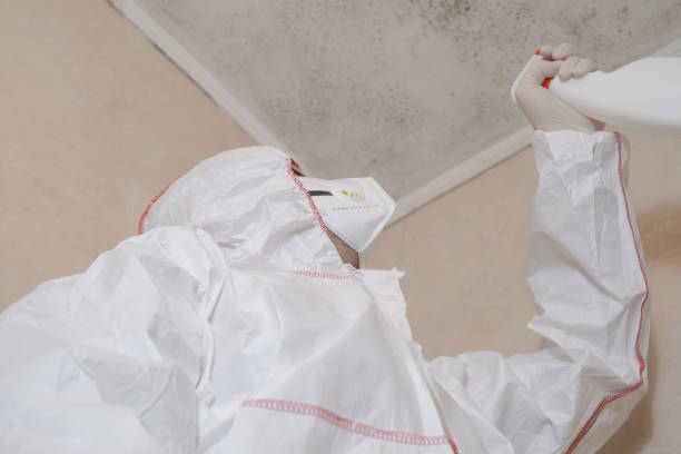 Best DIY Mold Remediation Support Services in Plymouth, OH
